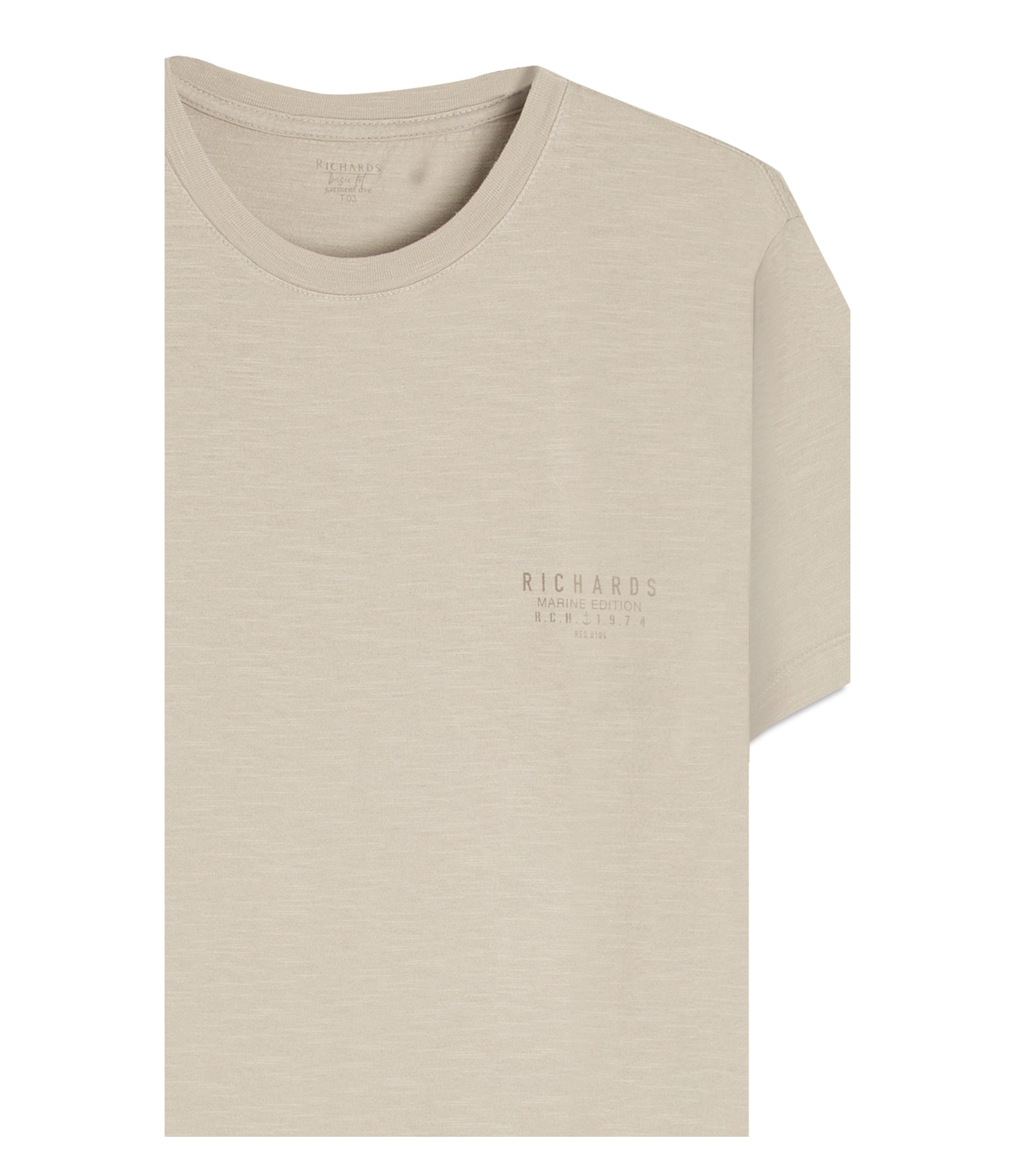 T-Shirt Flame Basica Gd Basic Fit Gelo