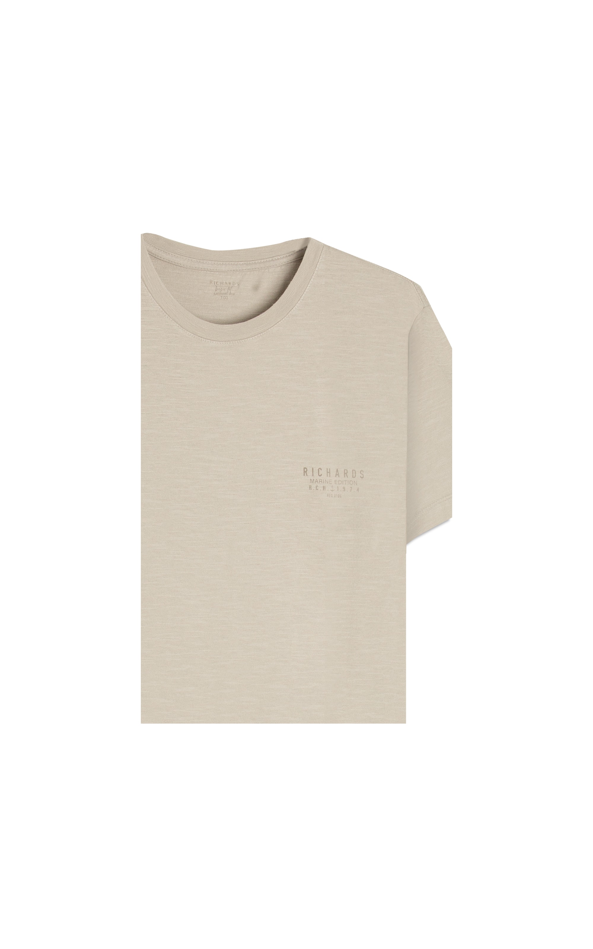 T-Shirt Flame Basica Gd Basic Fit Gelo
