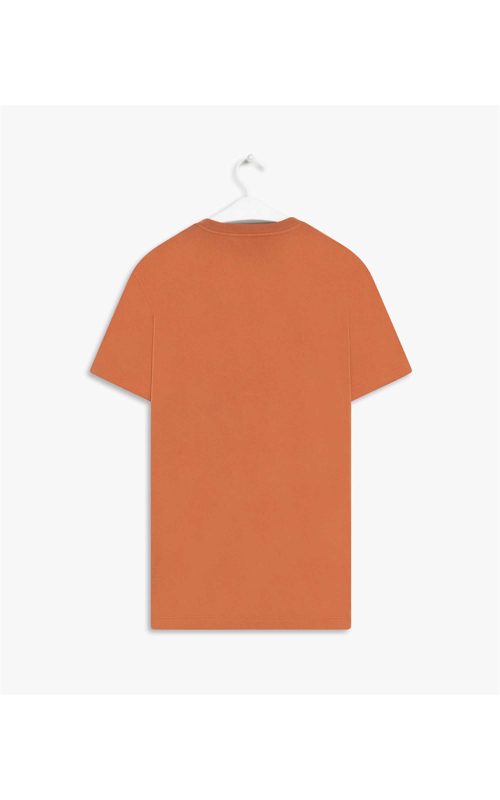 T-Shirt Manuscrito Richards Terra