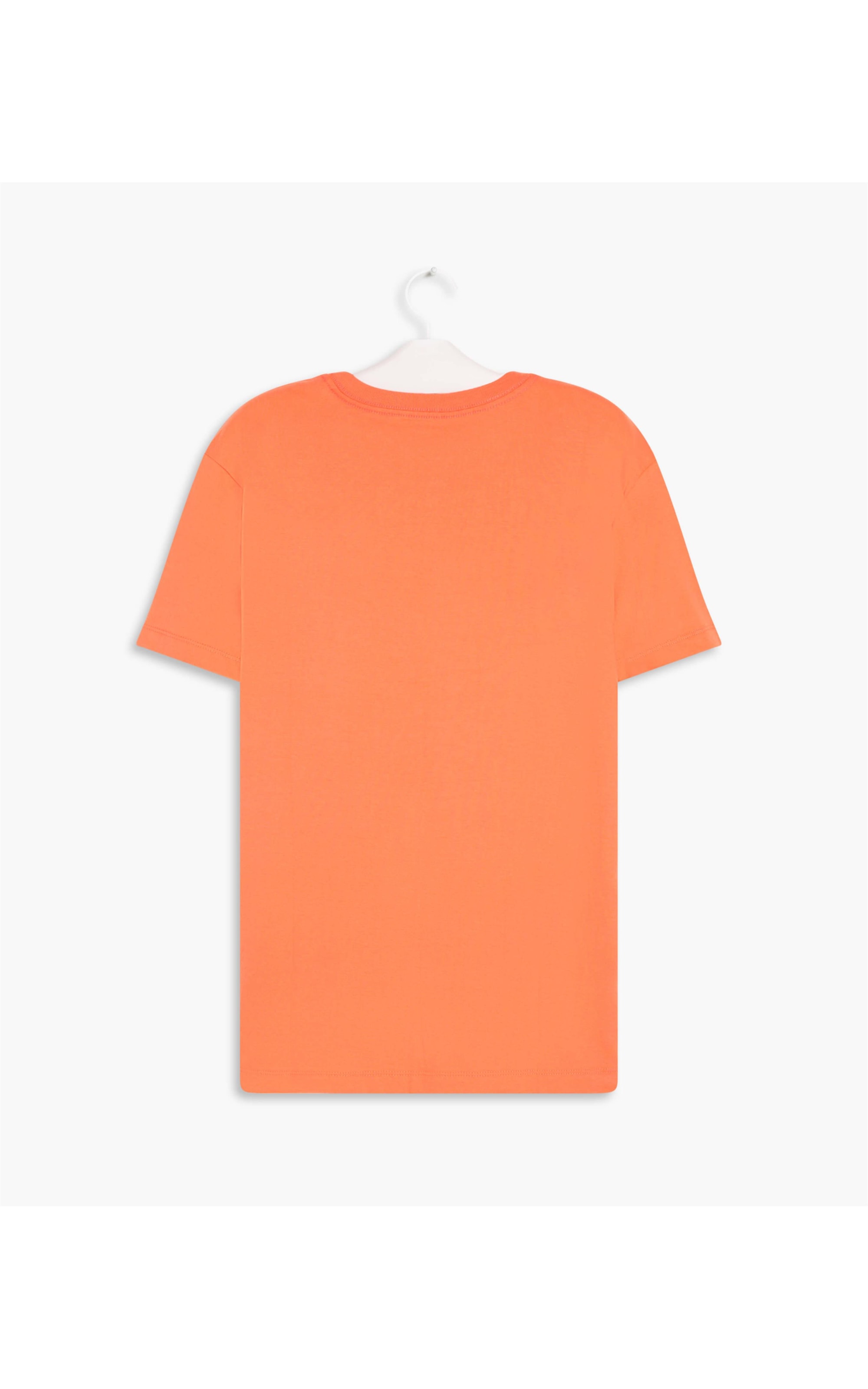 T-Shirt Meia Malha Fish Spray Mc Melancia