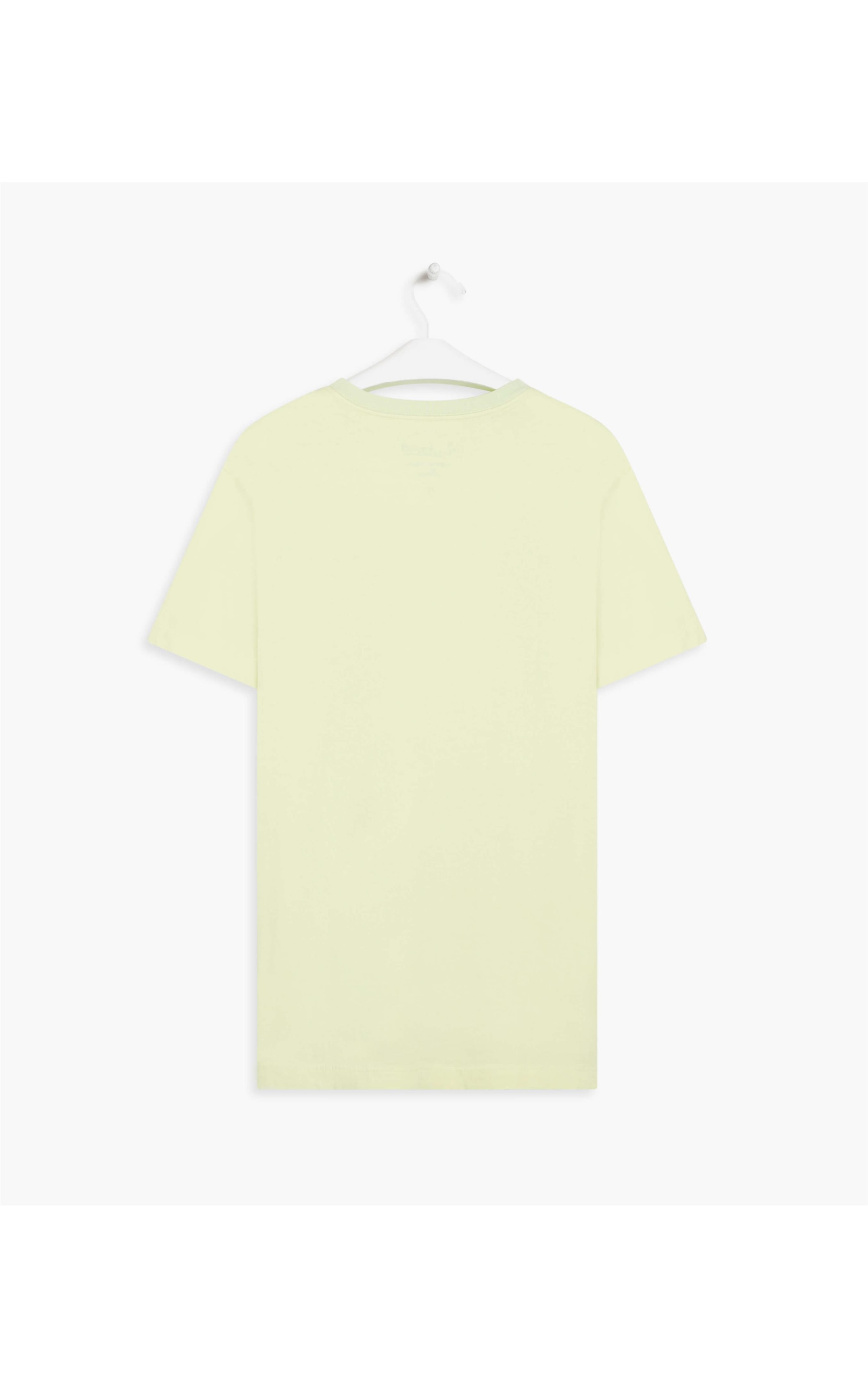 T-Shirt Meia Malha Richards Palm Mc Verde Maca