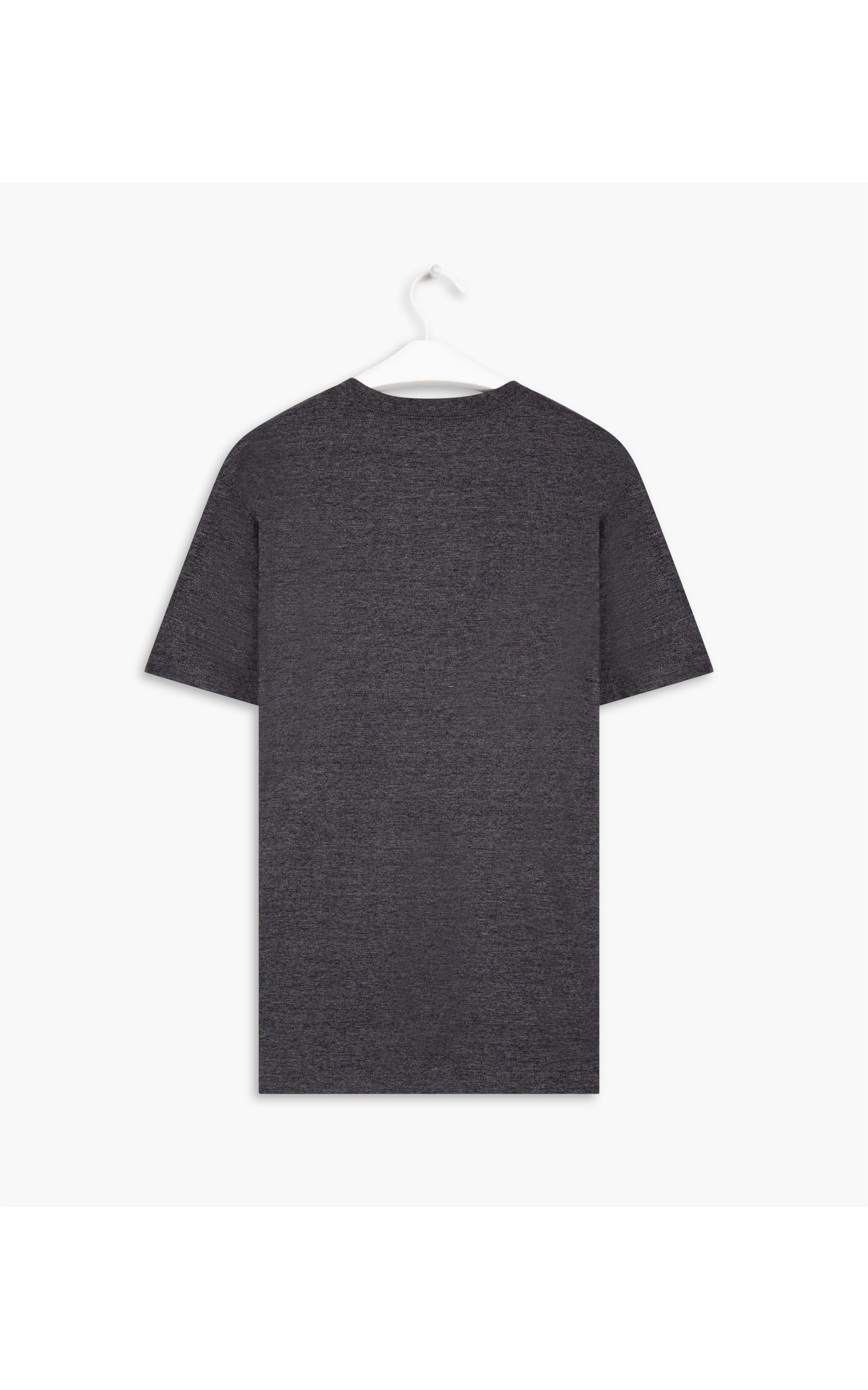 T-Shirt Mescla   Richards  Manuscrito Chumbo Mescla
