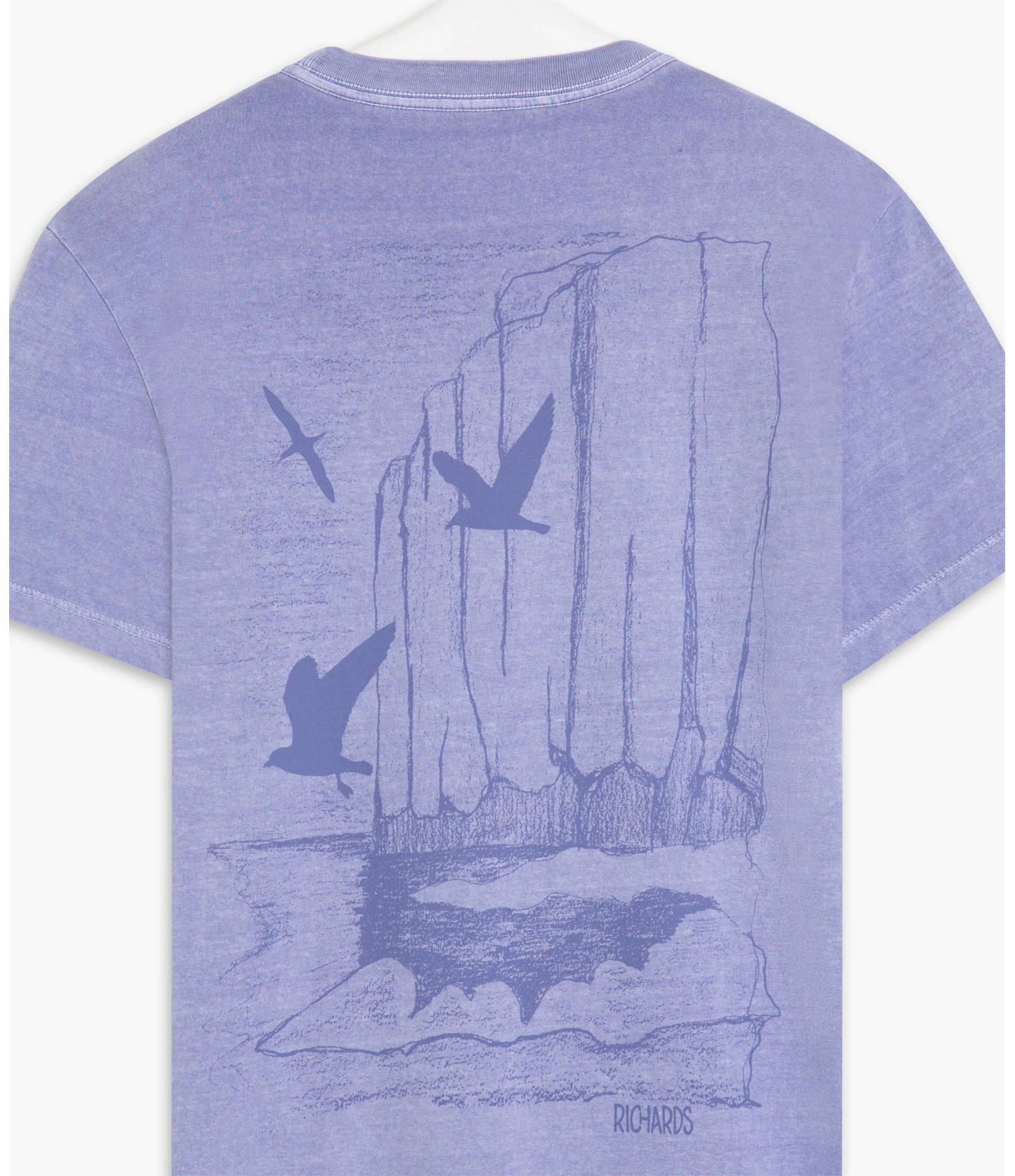 T-Shirt Mm Washed Gaivotas Azul Pervante