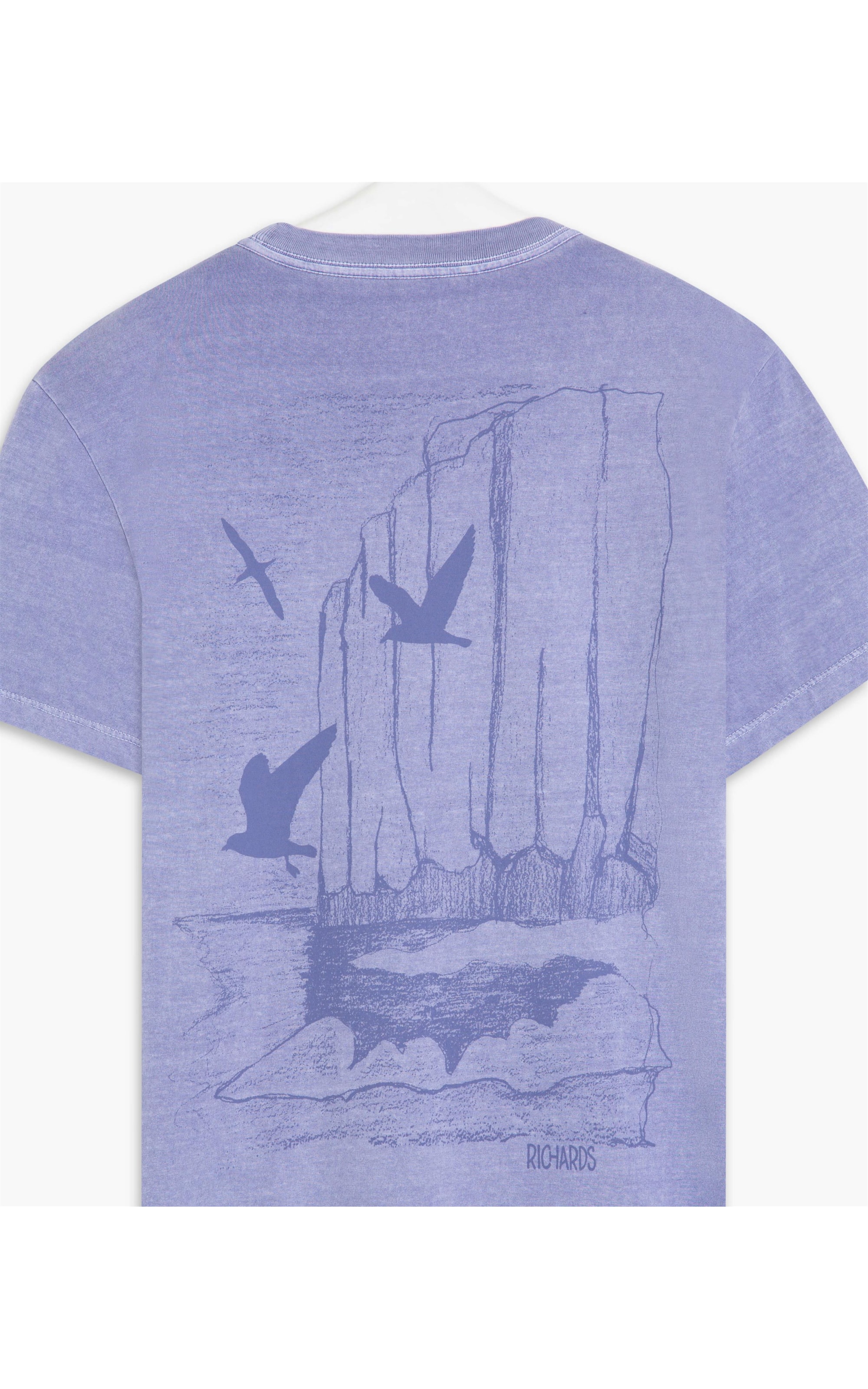 T-Shirt Mm Washed Gaivotas Azul Pervante