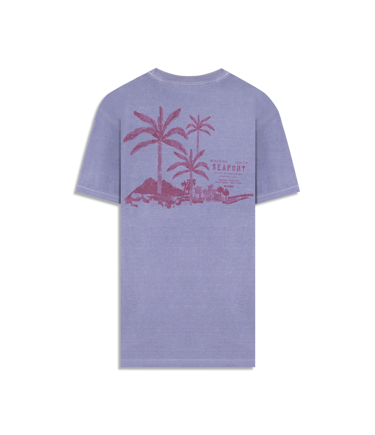 T-Shirt Paisagem Sal Washed Bf Misty