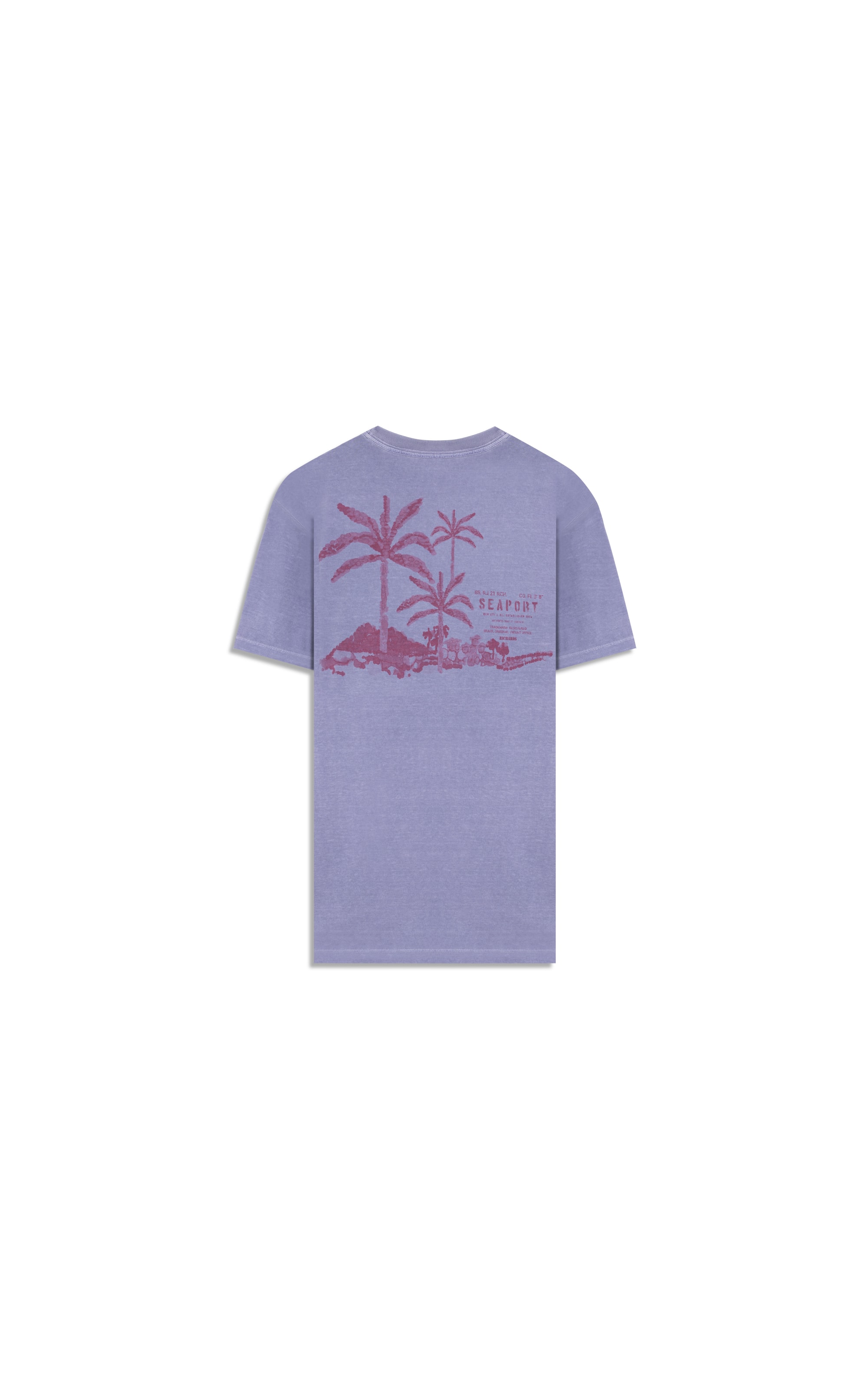 T-Shirt Paisagem Sal Washed Bf Misty