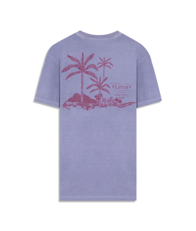 T-Shirt Paisagem Sal Washed Bf Misty