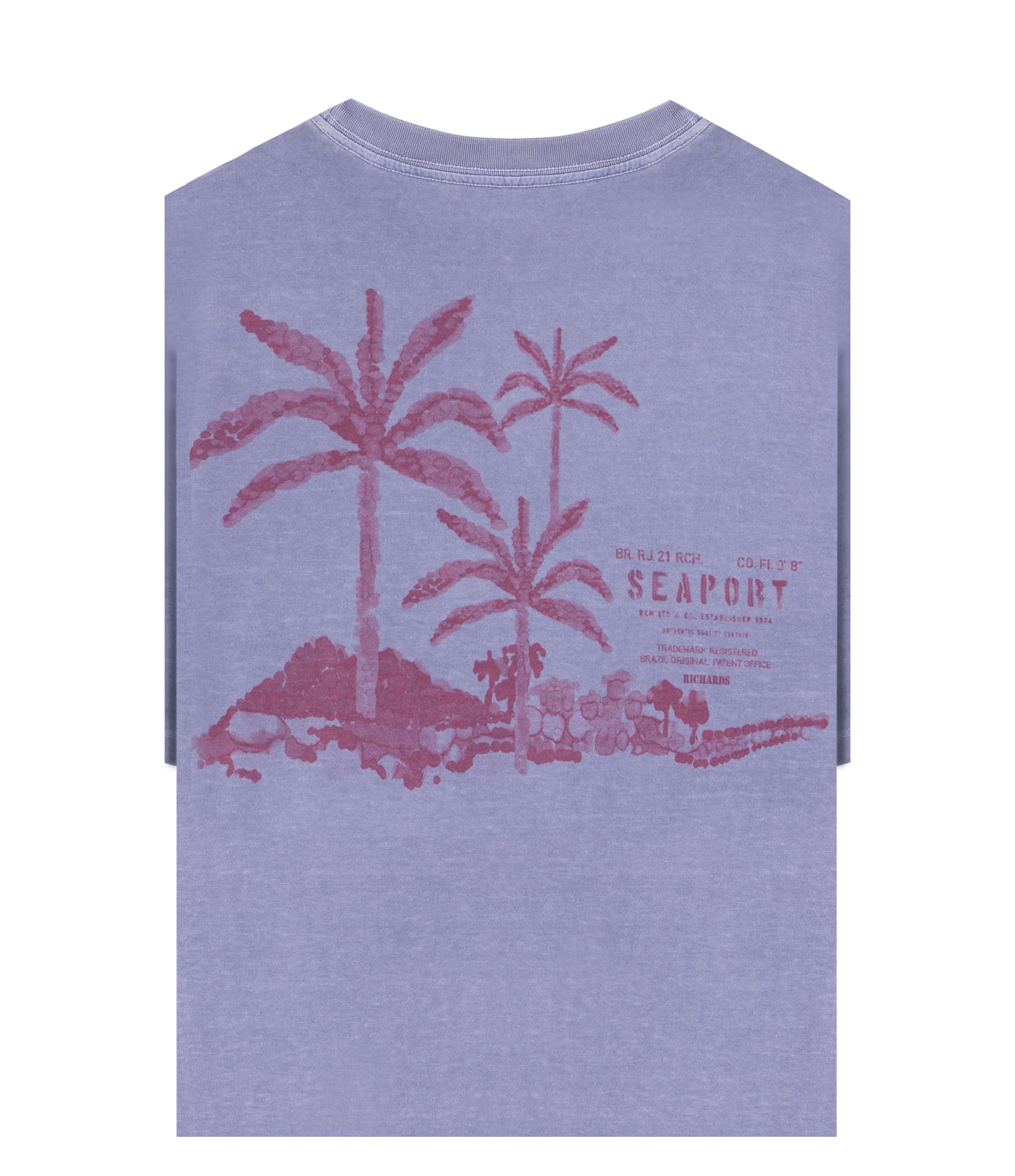 T-Shirt Paisagem Sal Washed Bf Misty