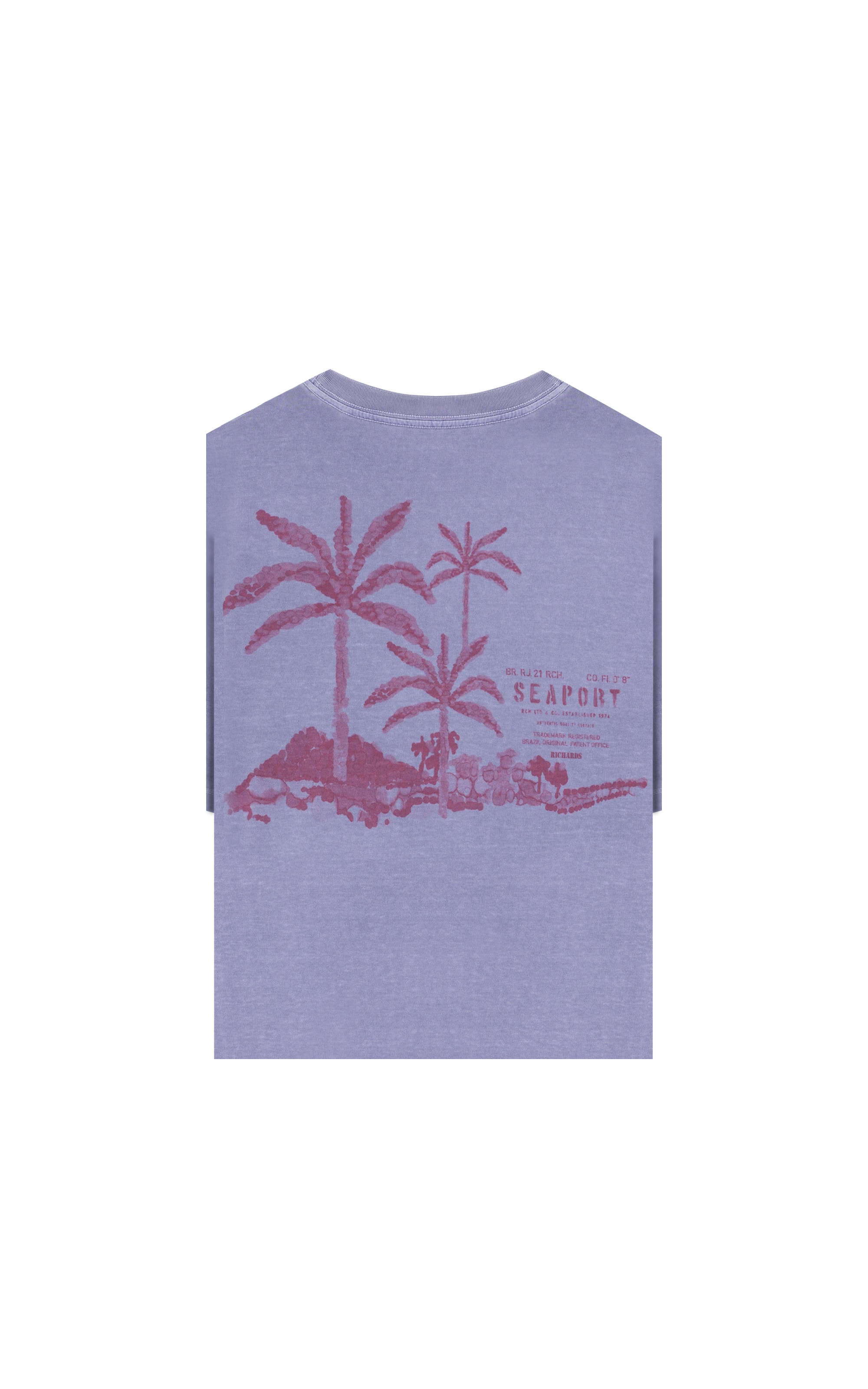 T-Shirt Paisagem Sal Washed Bf Misty