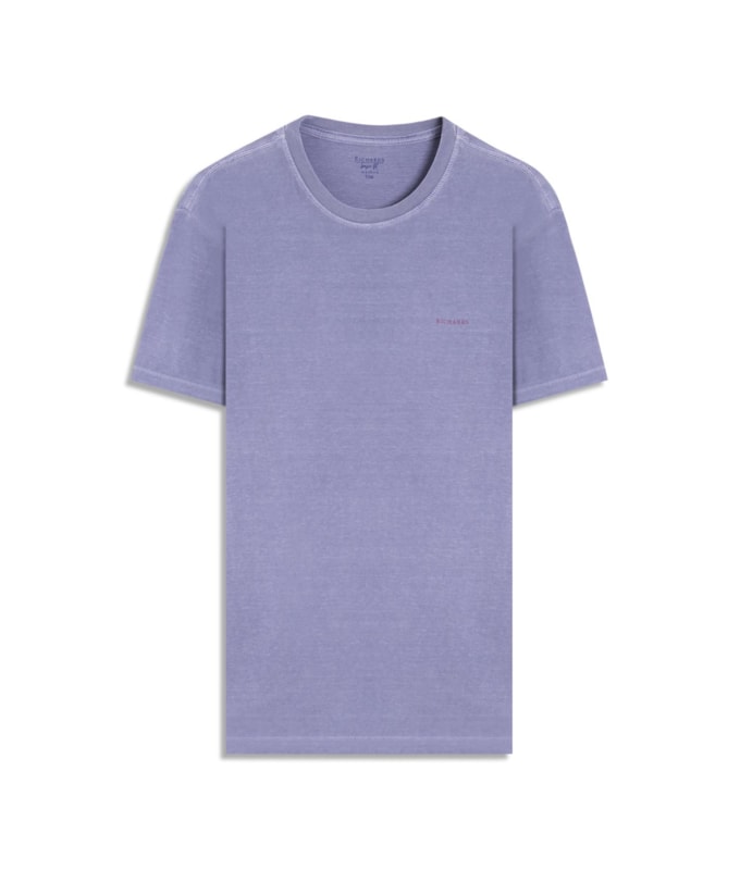 T-Shirt Paisagem Sal Washed Bf Misty