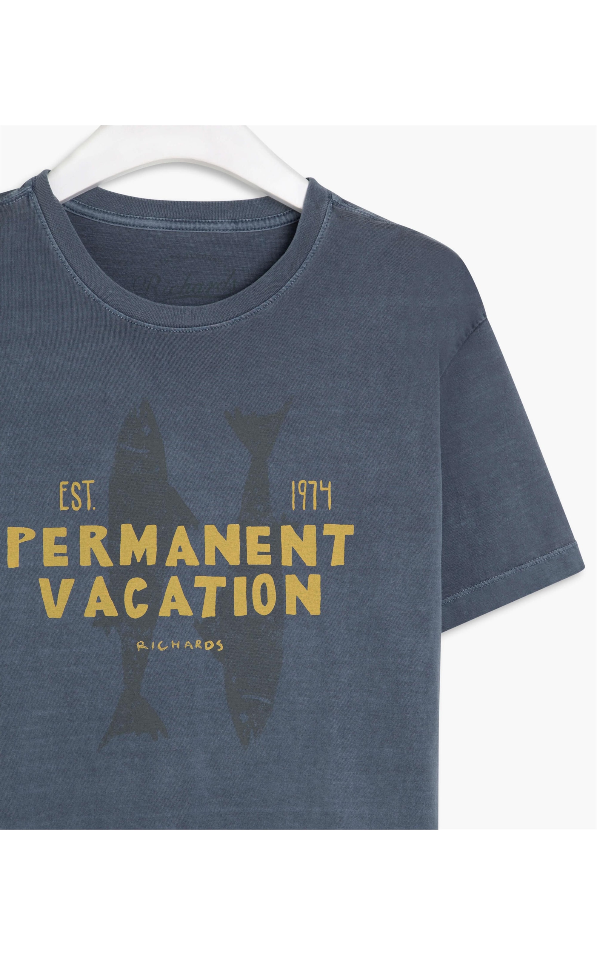 T-Shirt Salmão Vacation Mc Azul Pervante