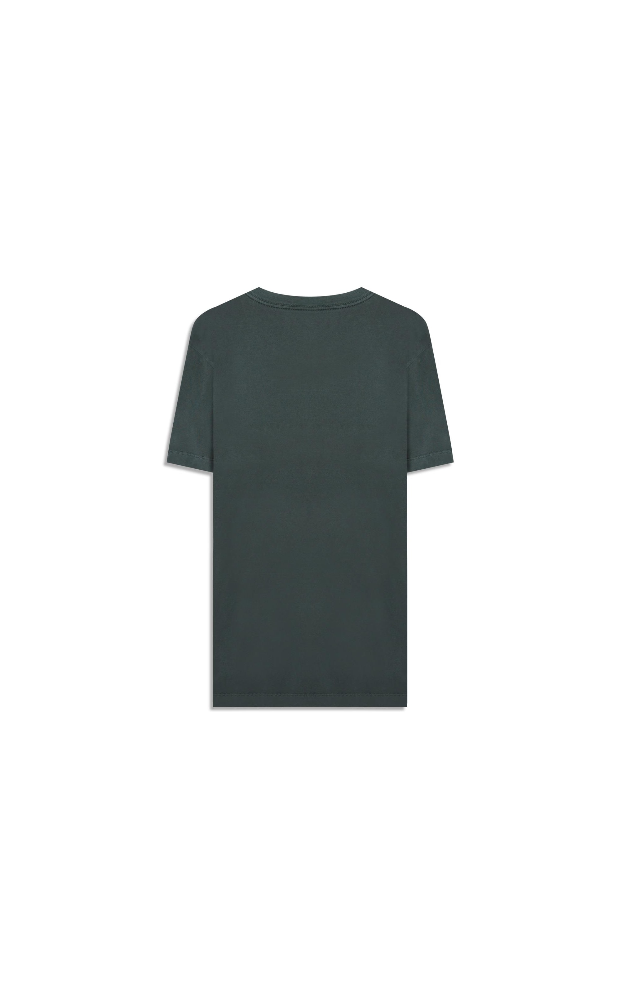 T-Shirt Washed Aquarela Floresta i