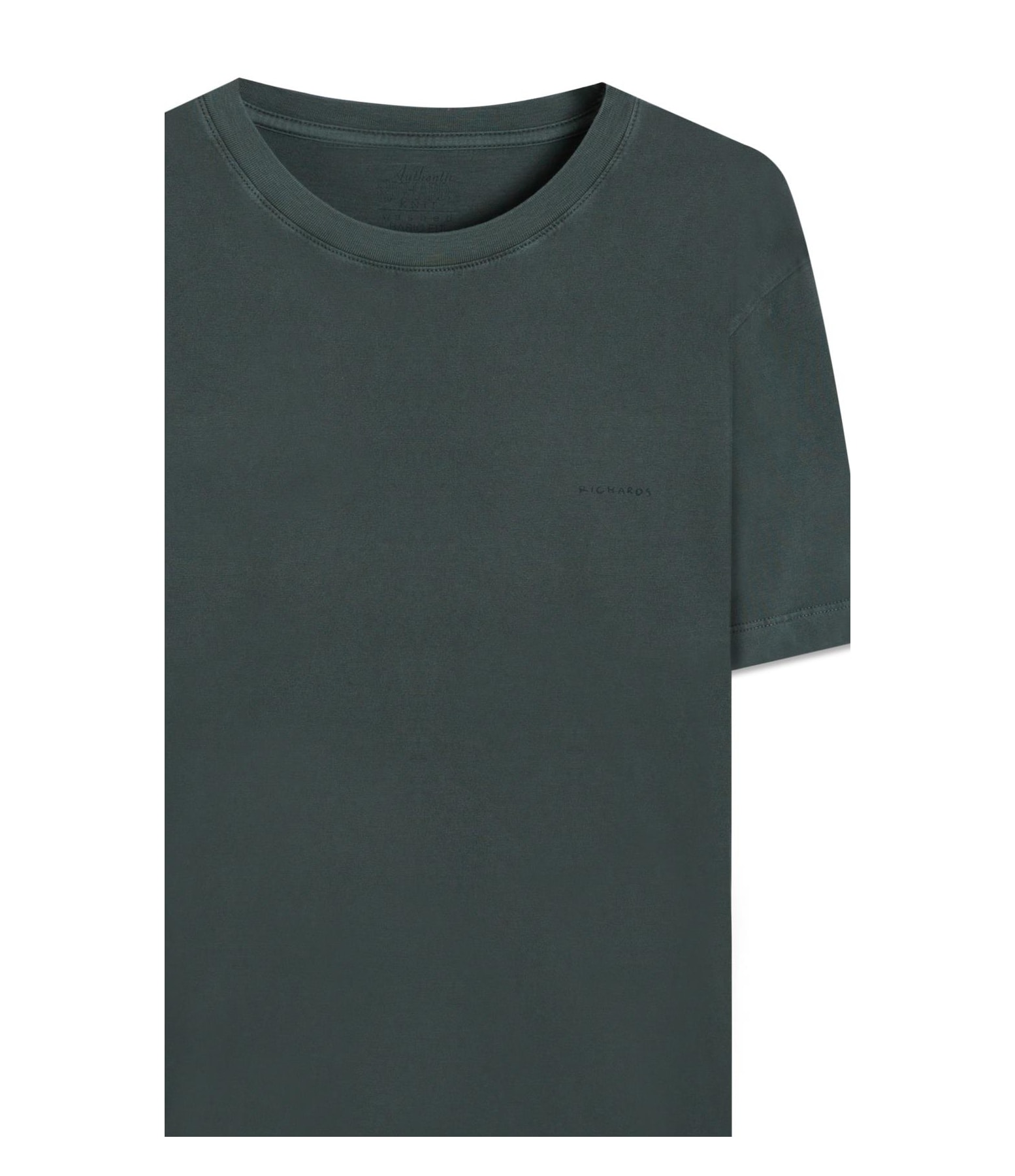 T-Shirt Washed Aquarela Floresta i