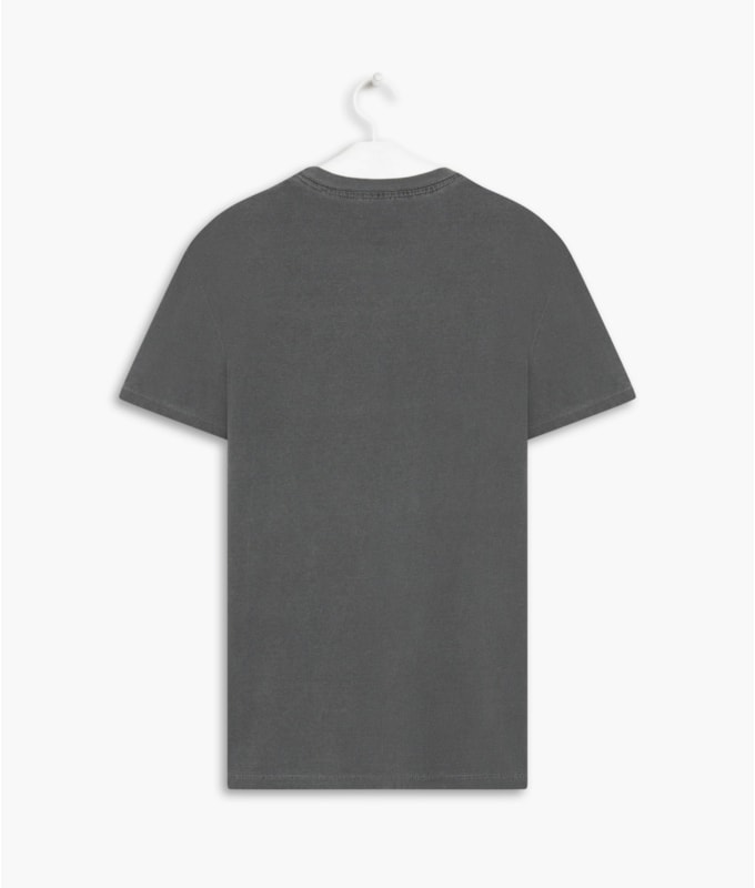 T-Shirt Washed Aquarela Grafite
