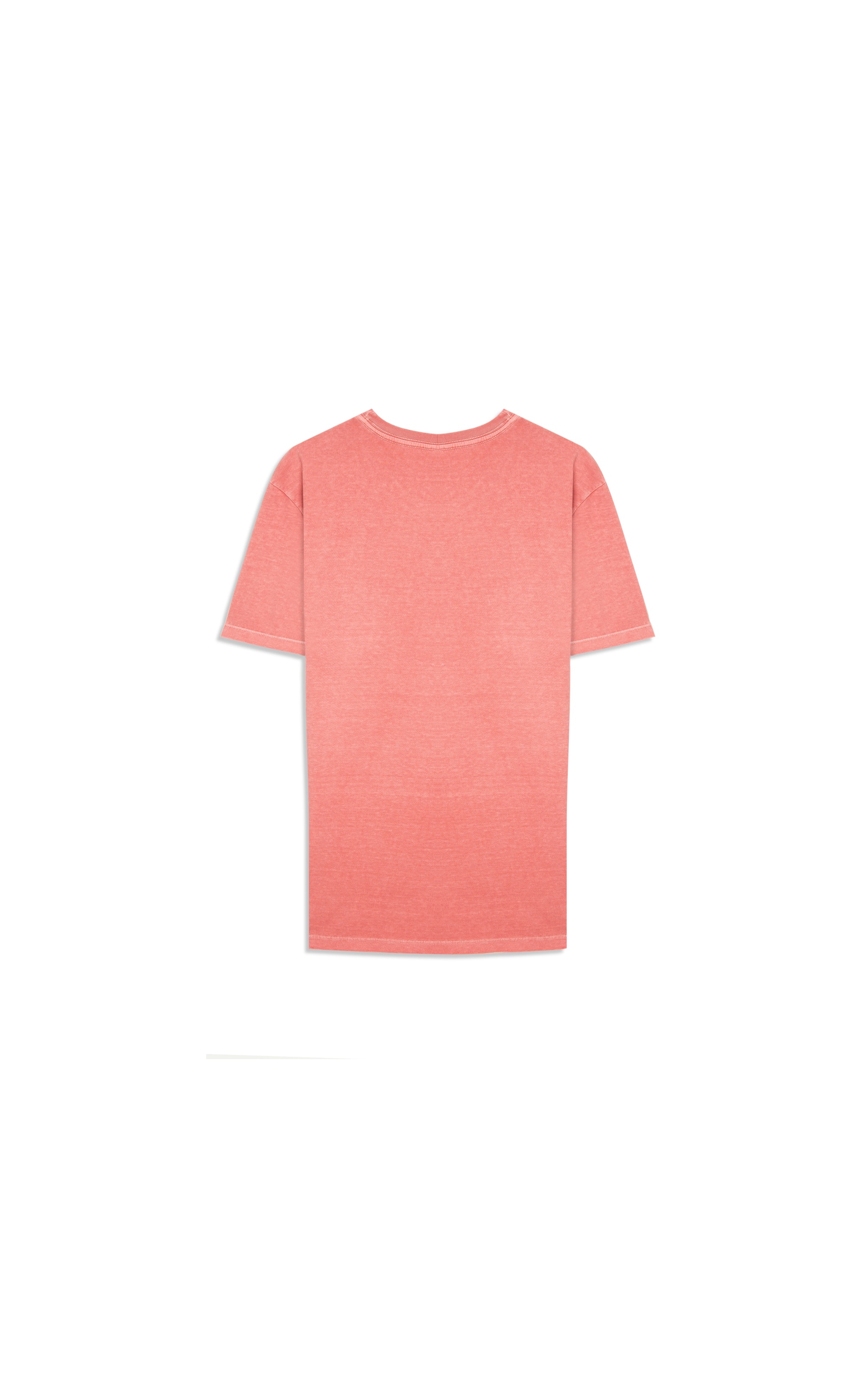 T-Shirt Washed Goiaba