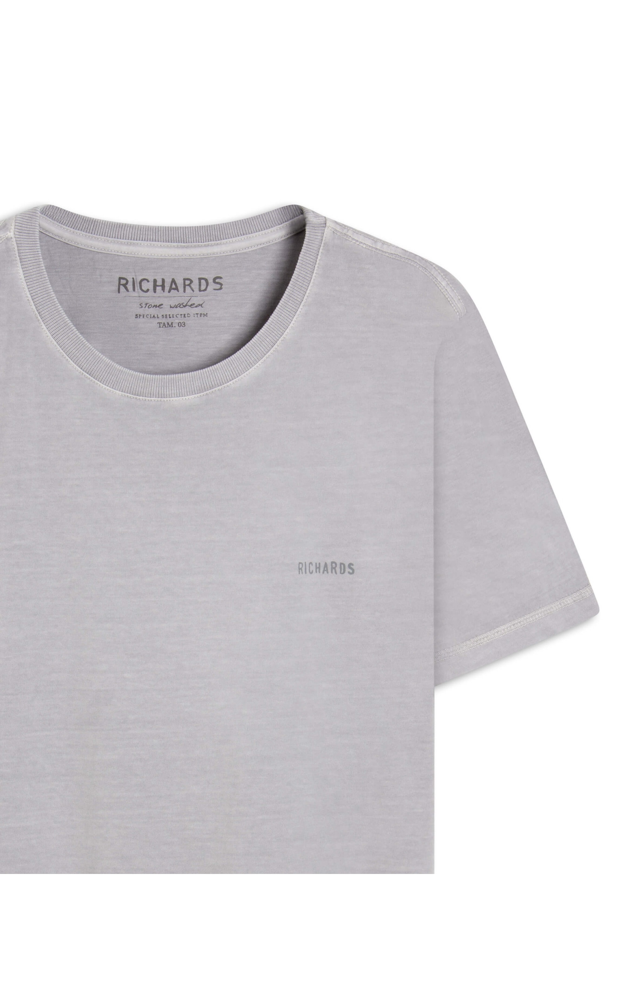 T-Shirt Washed Sketch Palm Costas Mc Prata