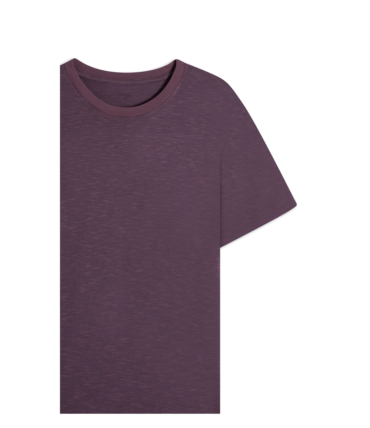 T-Shirt Zebrinha Mc Basic Fit Beringela
