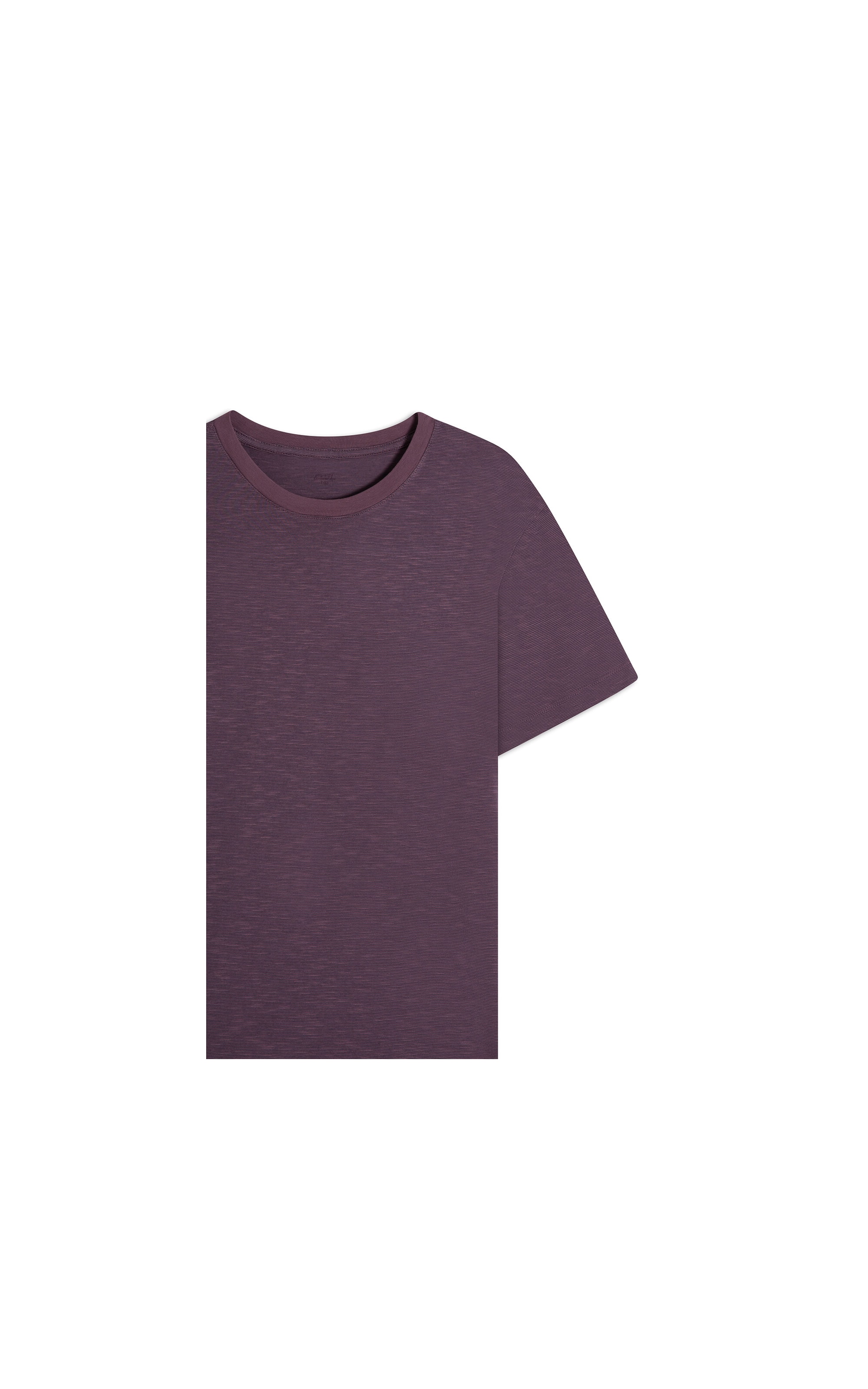 T-Shirt Zebrinha Mc Basic Fit Beringela