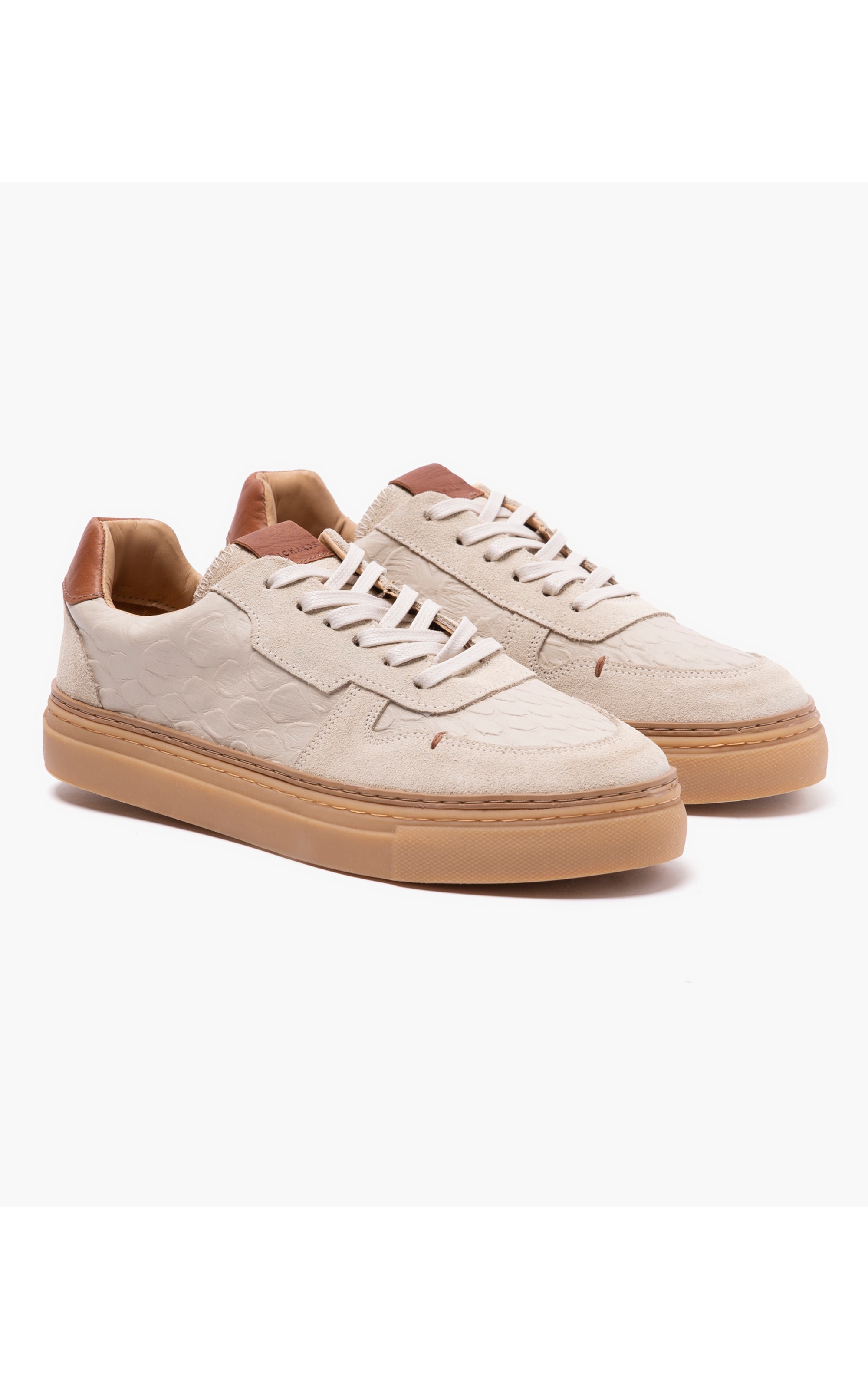 Tênis Pisa Off White