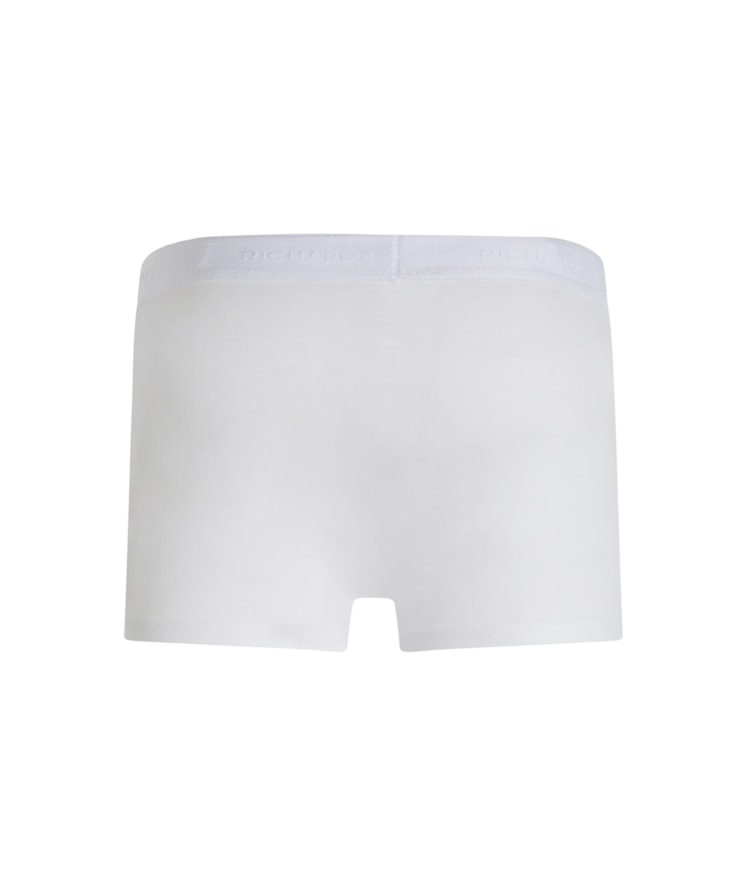 Truck Relaxed Rch Branco